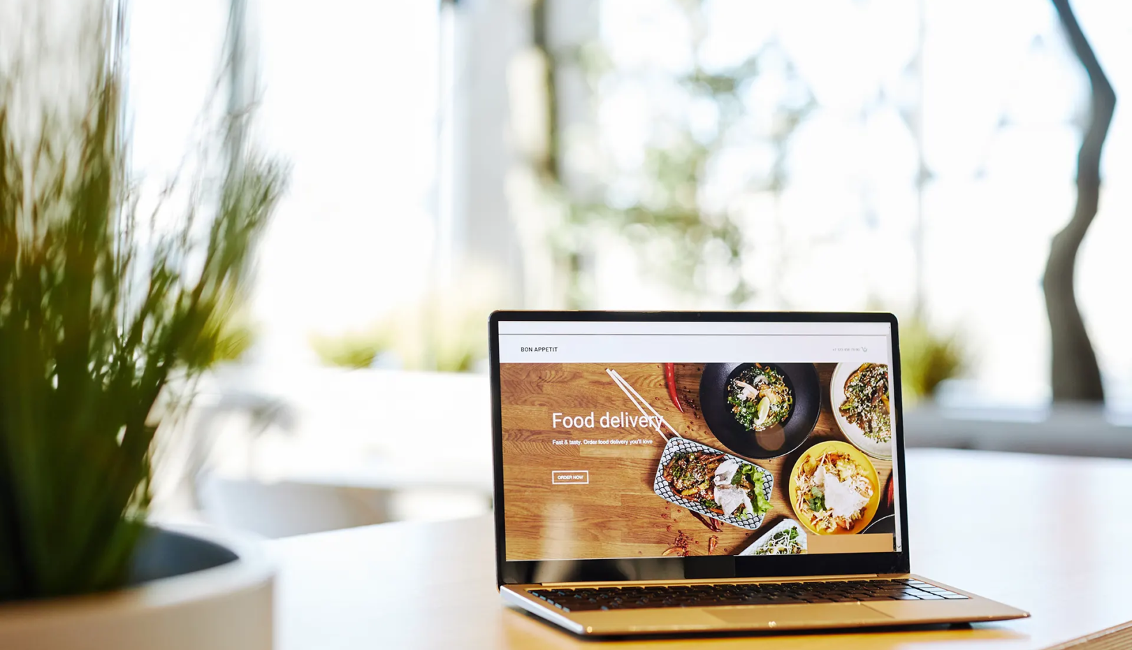 Diseño Web + Ecommerce